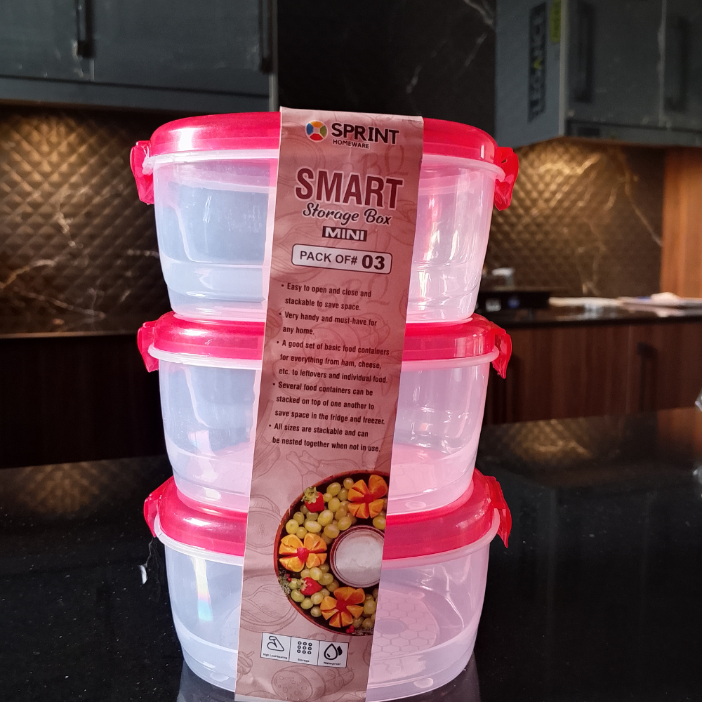 SMART STORAGE BOX MINI 3PC